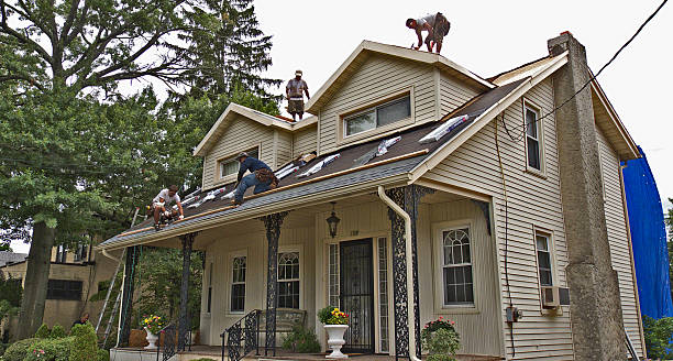 Best Roof Maintenance Services  in Pemberwick, CT